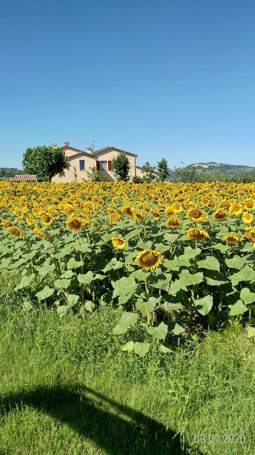 Agriturismo Vallelunga Ancona Kültér fotó